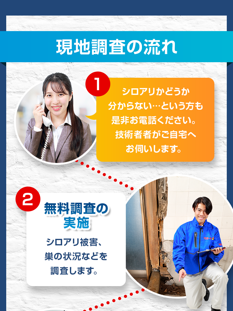 現地調査の流れ