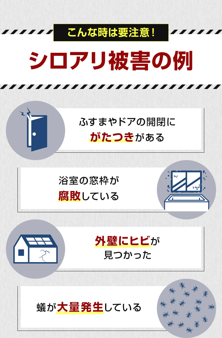 シロアリ被害の例