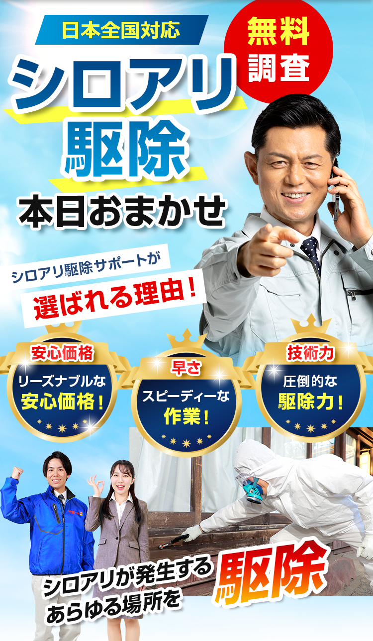 シロアリ駆除本日おまかせ
