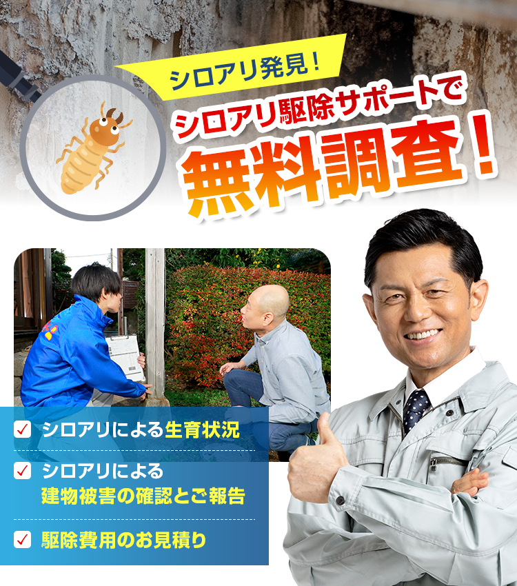 シロアリ駆除サポートで無料調査！